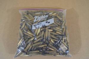 lot 99 image: Bag of Empty 5.56mm Shell Casings