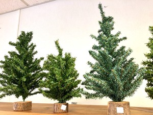 Group of Larger Craft Train Layout Display Trees