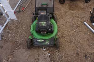 Lawn Boy Gold Series Easy Stride Self Propelled Lawn Mower