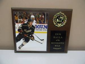 lot 11 image: ERIC HAULA MINNESOTA WILD PICTURE PLAQUE - NICE - APPROX 15 BY 12 - SEE PICTURES