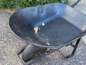 lot 151 image: Wheelbarrow