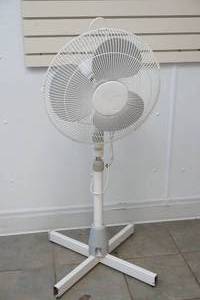 fan