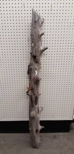 lot 1307 image: Hanging Piece of Driftwood for Holding Fishing Lures - Includes about 6 Lures - Stands about 56 Tall (Shelf D13)