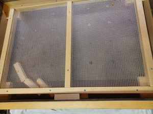 lot 60 image: Solar Powered Herb Dryer Measures 2-foot by 18-inches, Legs in front are 8-inches and 12-inches