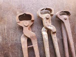 lot 40 image: Three Old Hoof Nippers