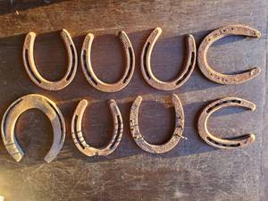 lot 104 image: Collection Of 8 Vintage Horseshoes