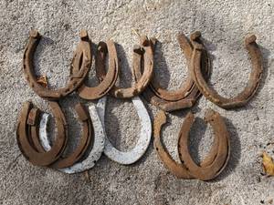 lot 234 image: Collection Of Vintage Horseshoes
