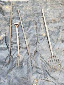 lot 248 image: Four Old Pitchforks