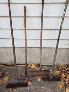 lot 250 image: Four Old Rakes