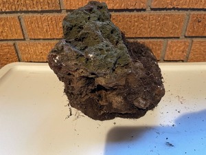 lot 367 image: Geode