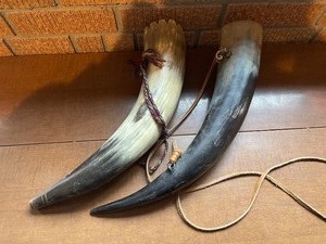 lot 348 image: Two Large Horns