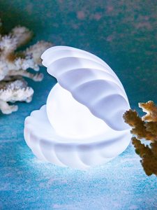 Shell Shaped Night Light