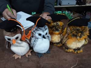 4-Graduation Owls 1998, 1999, 2-2003