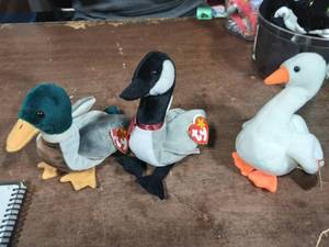 3-Beanie Babies With Tags