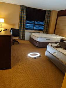 lot 57 image: Room 1412. 2 Full Beds, Flatscreen 42 LG, Small Safe, Marys Toss, and More