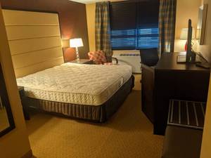 lot 28 image: Room 1503. King Bed, TV 42 LG, Small Safe, & More