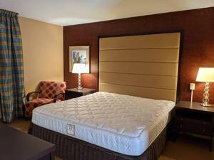 lot 124 image: Room 1115. King Bed, Handicap Accessible, TV 42 LG, Small Safe, & More
