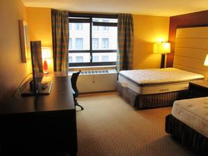 lot 153 image: Room 902. 2 Full beds, LG TV, Luggage Bench, Floor Lamp, and more