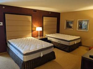 lot 34 image: Room 1509. 2 Full beds, Marble Nightstand, Artwork, Lamps, and More