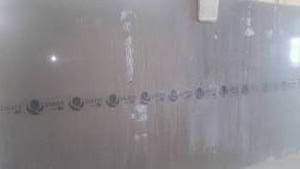lot 50 image: (2) Slabs Quartz Fossil Brown, 64x1...