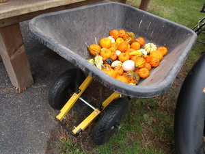 Wheelbarrow - double front wheel, g...