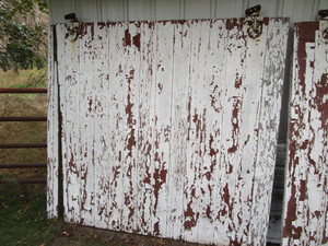 Vintage barn door, Douglass Fir 70...