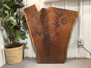 lot A171 image: Wood Slab