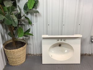 lot C180 image: Bathroom Sink