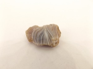 Lot of 10 Lake Superior Agates Weighing .21 Ounces - .3 Ounces Each