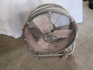 Lakewood fan 26...