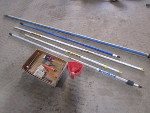 Paint poles with extendable, brushe...