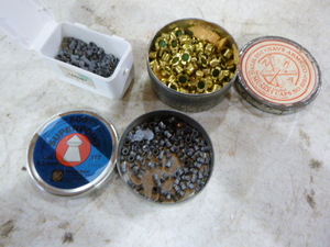 Pellet Gun Shells
