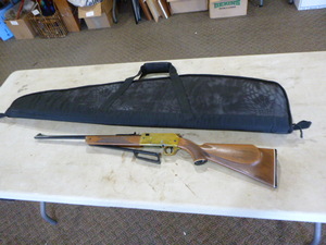 Sears & Roebuck Ted Williams BB or.177 Pellet Gun