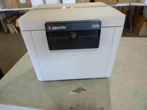 Sentry 1170 Safe
