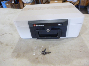 Sentry 1100 Safe