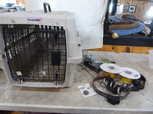 Pet Items