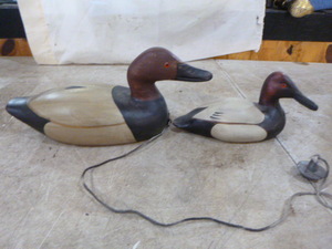 Wooden Ducks