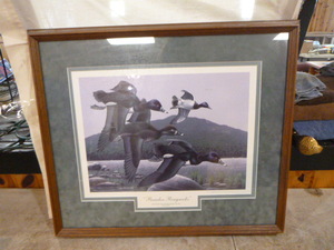 Paradise Ringneck Framed Print by Ken Bucklew