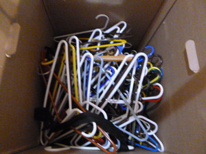 Wardrobe Box and Hangers
