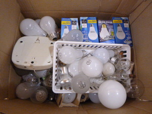 Box of Light Bulbs
