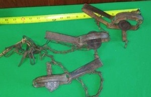 lot 212 image: 3 metal traps