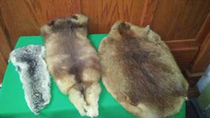 lot 258 image: Variety of 3 animal pelts