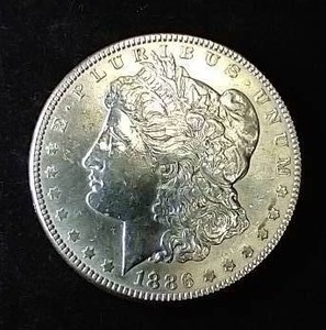 1886 Morgan Dollar