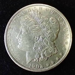 1902 Morgan Dollar