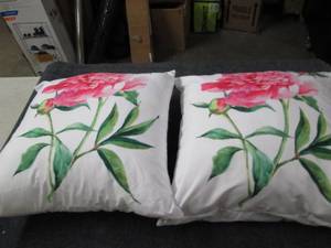 lot 72 image: 2 throw pillows roughly 20 x 21 inc...