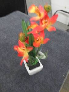 lot 238 image: 13 inch yellow and orange orchid fl...