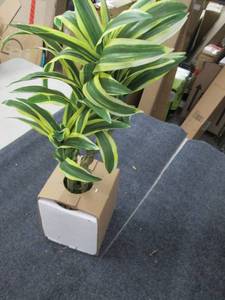 lot 241 image: 22 inch garden accents ...