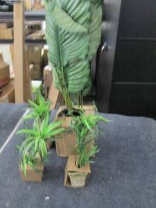 lot 243 image: fake plants ...