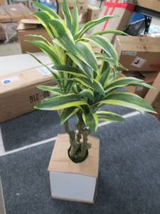 lot 244 image: 21 inch garden accents ...