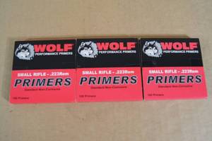 lot 125 image: 300 Wolf .223 Rem Small Rifle Primers